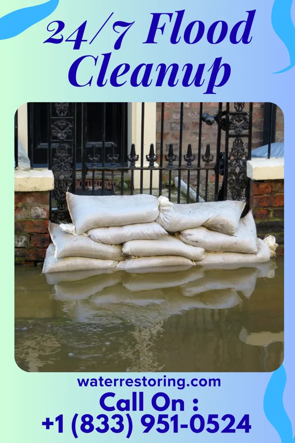 24/7 Flood Cleanup in Ola, AR