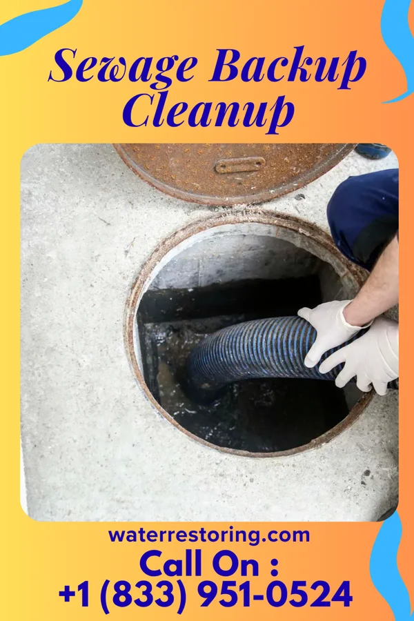 Sewage Backup Cleanup in Ola, AR